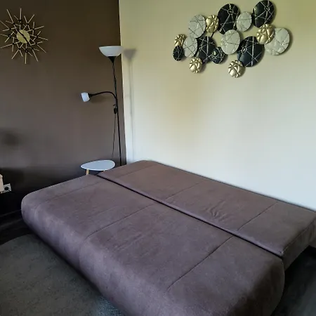 Fiore Wellness 佐洛卡罗斯